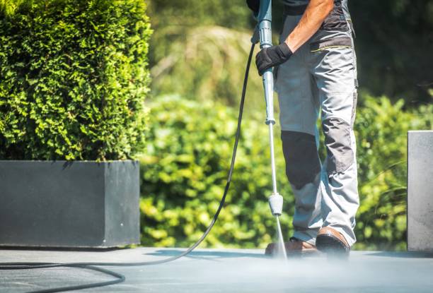 Best Driveway Pressure Washing  in Dolgeville, NY
