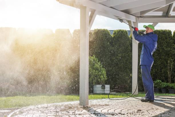 Best Building Exterior Washing  in Dolgeville, NY