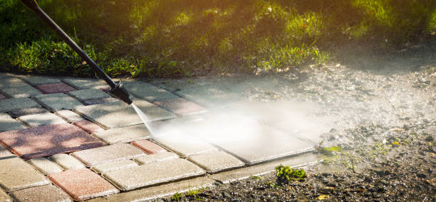 Best Solar Panel Cleaning  in Dolgeville, NY